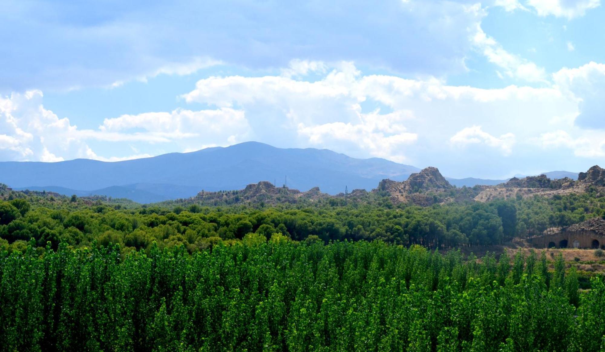 Cuevas Cortijo Gachas Villa Guadix Eksteriør billede
