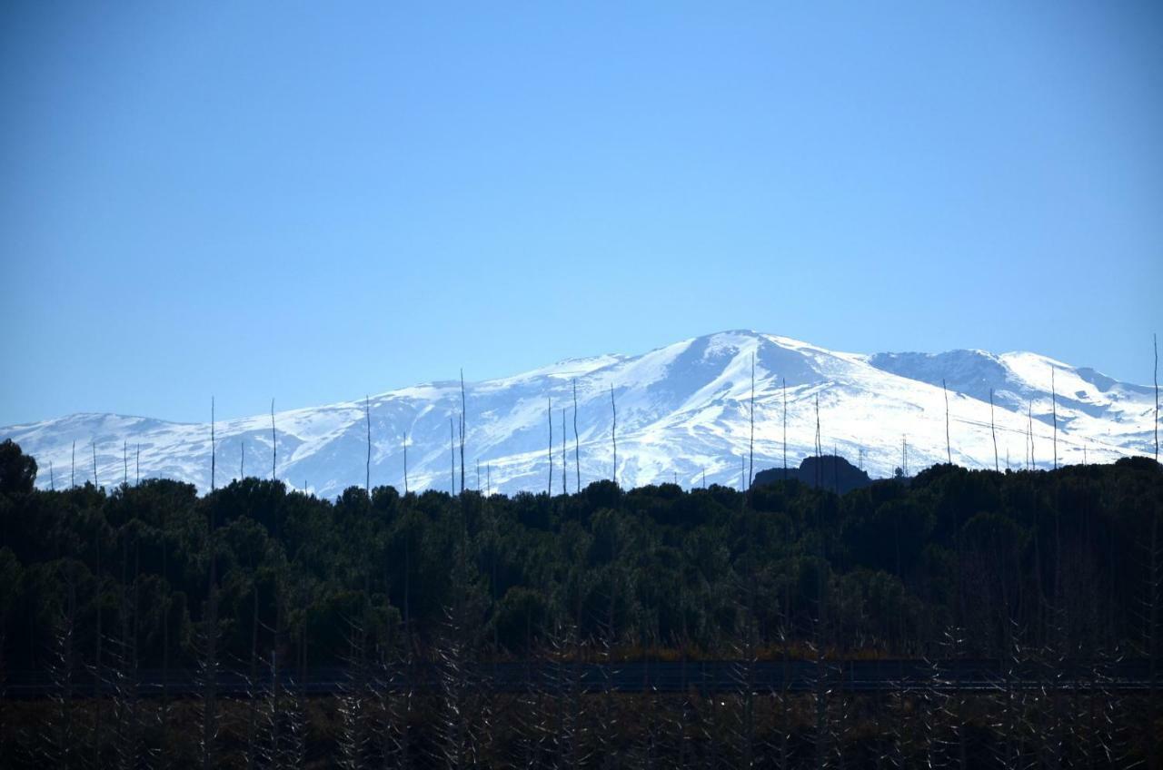 Cuevas Cortijo Gachas Villa Guadix Eksteriør billede
